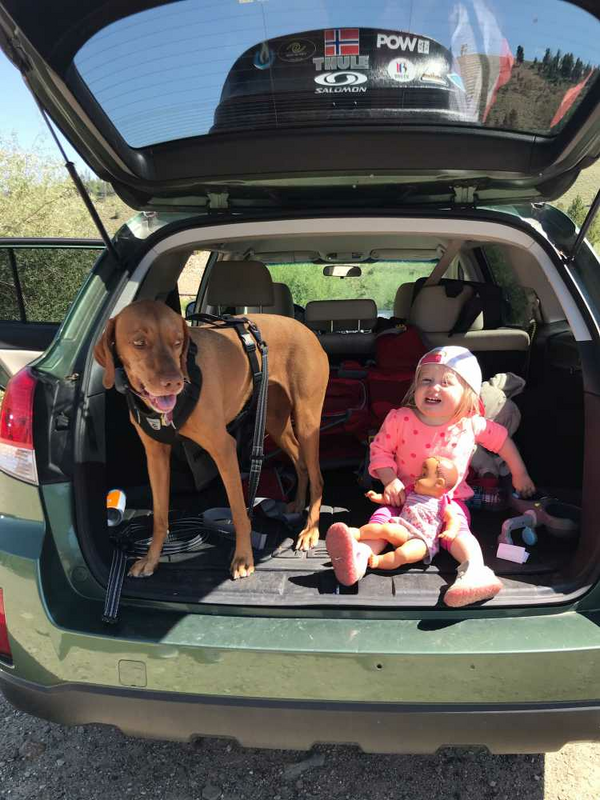 Dog and a toddler on a road trip - SheBuysTravel