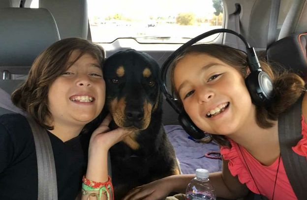 Kids and a dog on a road trip - SheBuysTravel