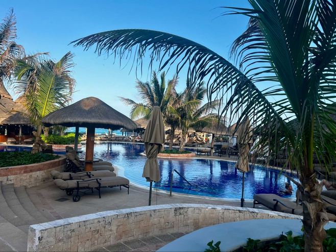 Palm trees and palapas by the pool