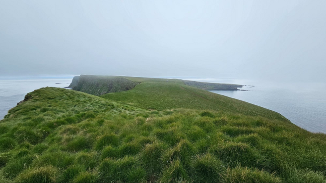 The lush Viðey Island in Iceland