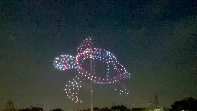 Sea turtle created in the night sky using lighted drones with an amusement park below.