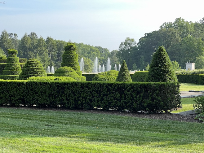 Shaped green topiary shrubs and water jets from nearby fountains in a landscaped garden setting.