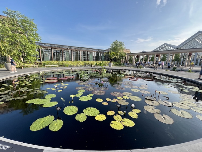 Lily ponds with blooming lilies floating on the water, surrounded by conservatories and visitors enjoying the garden.