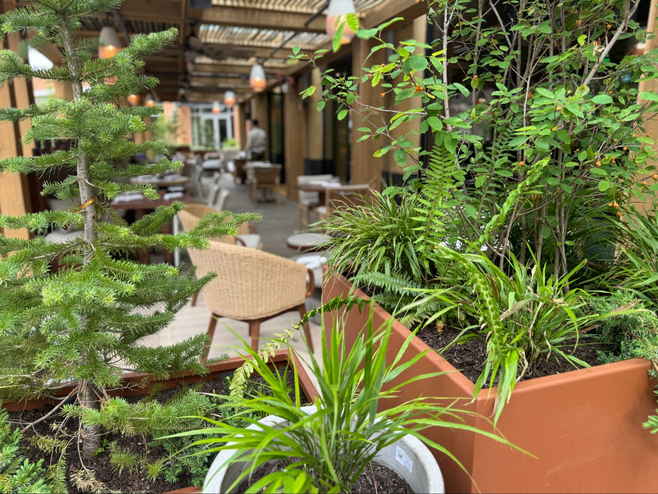 Outdoor dining terrace with lots of potted plants.