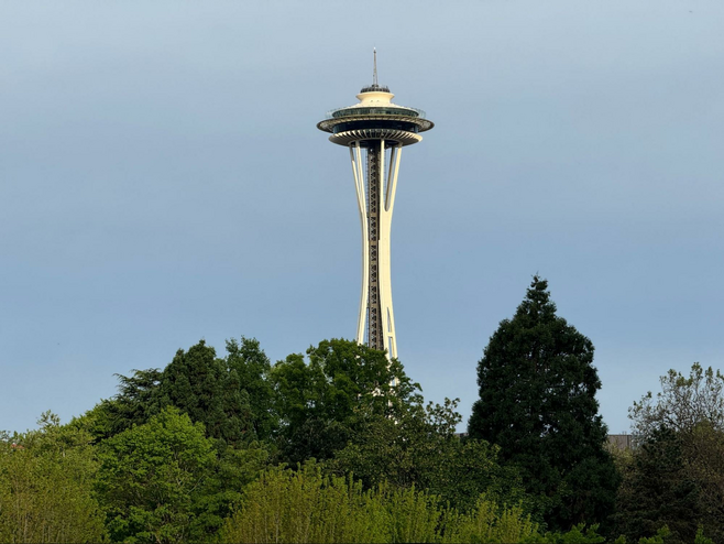 View of the Space Needle trees in the foreground.