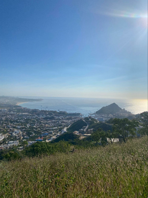 View of Cabo San Lucas marina from hiked peak