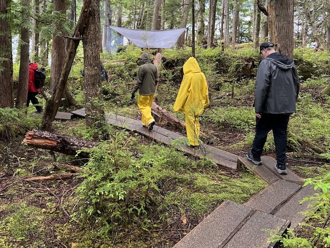 People walking on wood walkway trail through a forest