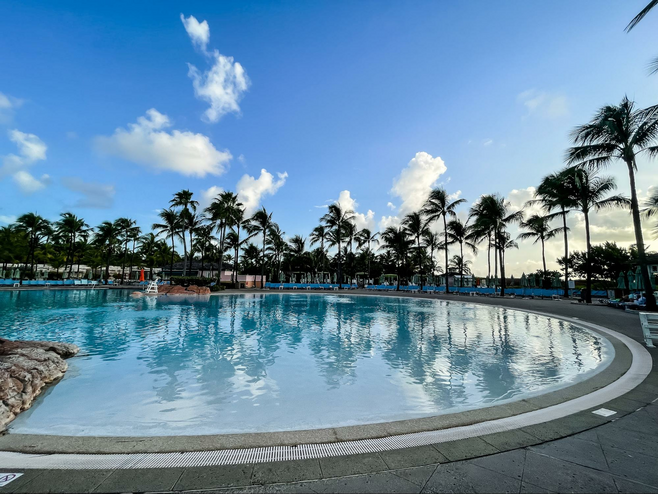 View of an empty, round zero-entry pool with palm trees in the background under a blue sky.