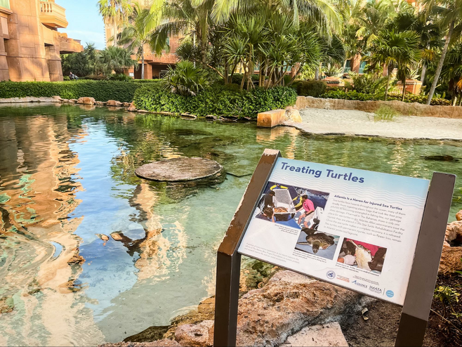 Lagoon at Atlantis with a sign in front reading 'Treating Turtles'.