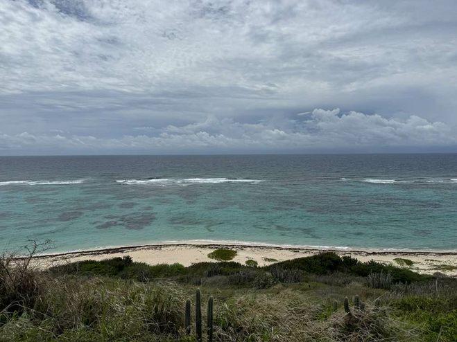 Deserted and remote beach with clear blue water surrounded by vegetation