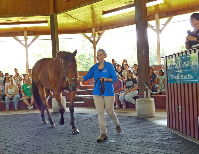 A racehorse and trainer walking in display area with viewers on benches.