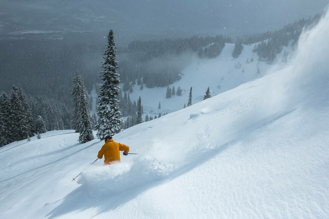 Skiing in deep powder snow at Fernie Alpine Resort