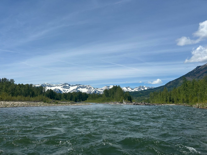 View of the Elk River with the Rocky Mountains in the background on a rafting excursion in Fernie, BC.