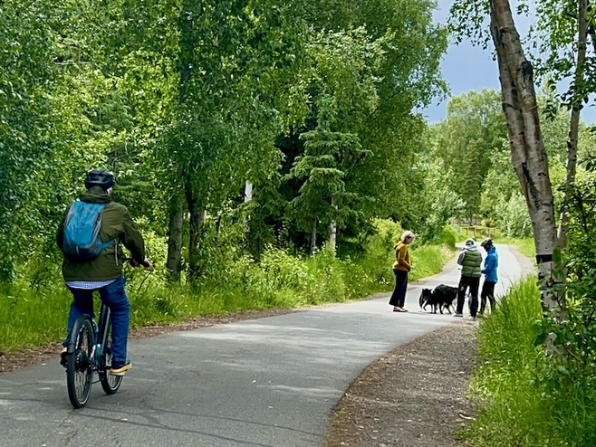 Cyclist approaches walkers and their dogs on a paved path surrounded by trees. 