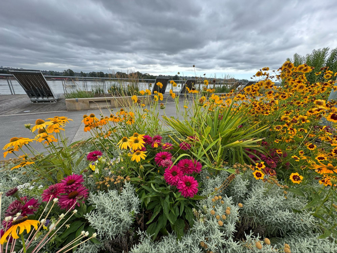 Boardwalk along a river with lounge chairs and planters filled with flowers
