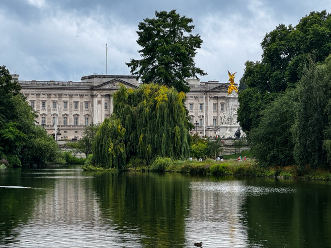Within view of Buckingham Palace is St. James's Park where swans glide by and pelicans can often be viewed when they are fed daily.