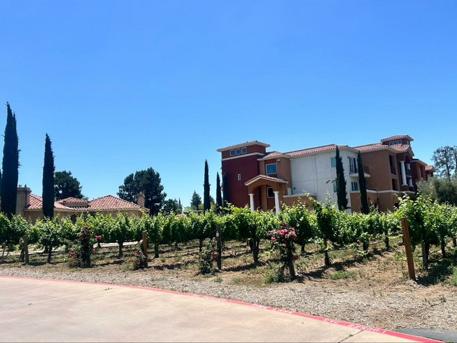 Exterior of South Coast Winery, with vineyards and elongated trees towering over a spanish-style building with brick rooftops