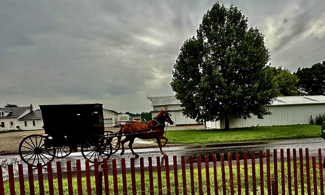 The dark sky might be nightfall or a gray rainy day as a horse trots on a wet road pulling a black buggy with only tiny window slits letting light through. The buggy sides are closed up.