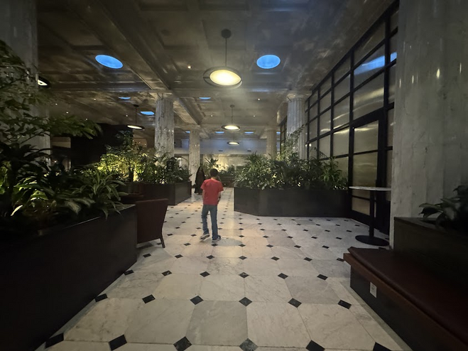 A boy in a red shirt and jeans walks in the lobby of the Hotel Emery. The floor is marble and there are marble columns. Plants are in wooden planters are abundant. 