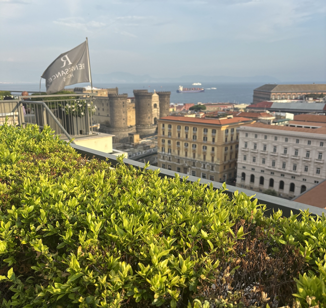 Rooftop view of city of Naples with hotel flag in background