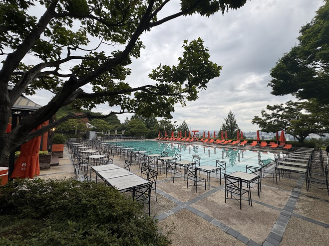 An outdoor pool with blue water surrounded by orange lounge chairs and metal tables and chairs. There are trees and bushes around the pool. 