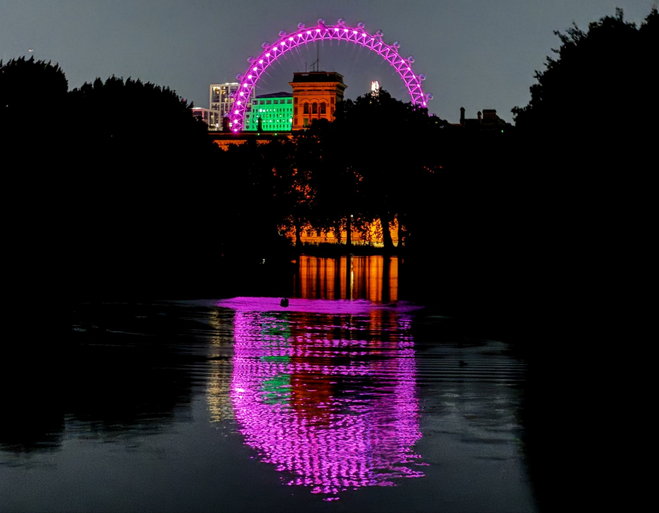 St. James's Park is a vantage point not only to view Buckingham Palace but, at night, the lights of the London Eye across the Thames River.