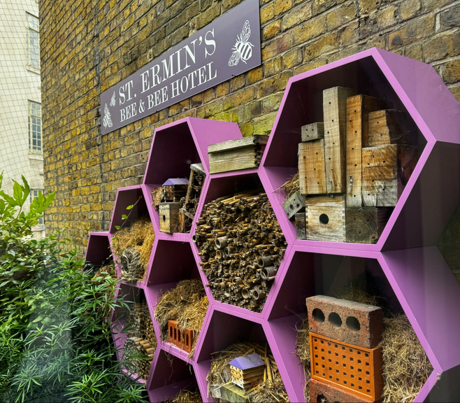 St. Ermin's Hotel has a unique feature -- bee hives set on an outdoor terrace where the staff harvests honey that is used in the hotel's restaurants.