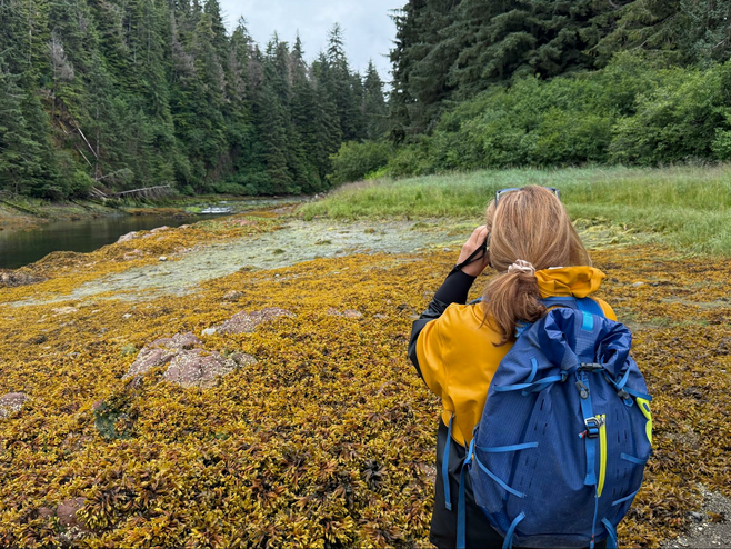 Scanning the mouth of the creek for bears upon arrival.