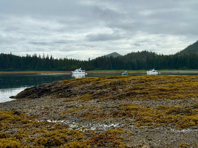 Yachts and skiffs in the bay near Waterfall Creek on Chichagof Island in Southeast Alaska.