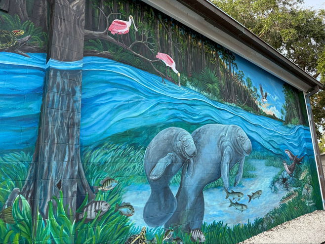 Epic Summer Family Fun around Crystal River, Florida