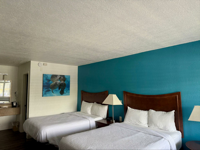 Two bed hotel room at Paddletail Waterfront Resort with teal walls and manatee photos as decor.