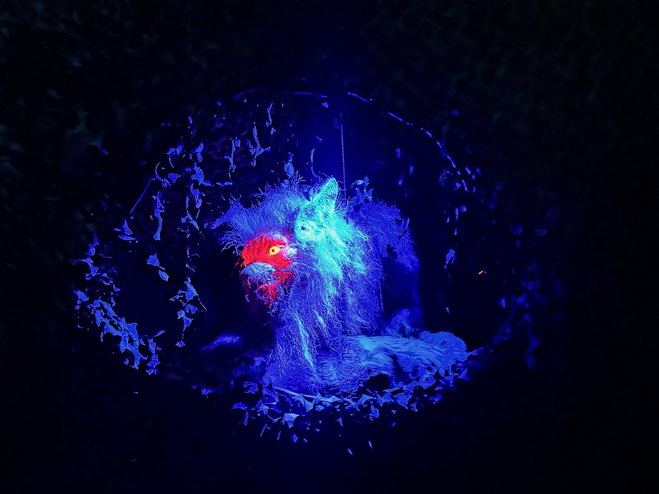 Wolf-like creature in a haunted house