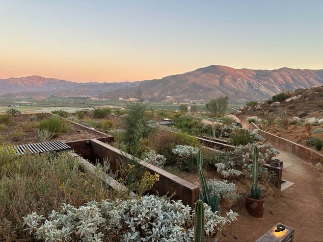 MIRA Earth Studio’s green roofs, planted with native vegetation, forge a seamless bond with the surrounding landscape.