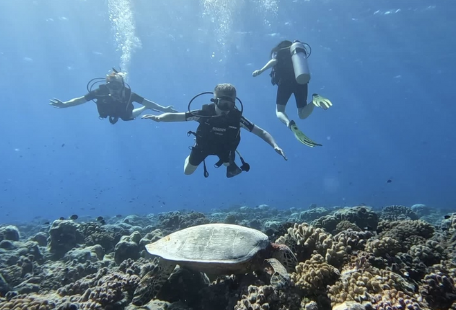 Three masked scuba divers float just above a sea turtle feeding on a coral bed in the waters off Tikehau, an atoll in French Polynesia’s Tuomotu Archipelago.