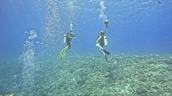 Using a boat’s anchor line, one scuba diver slowly guides a scuba student under the water toward coral beds below. Both are blowing bubbles. The water is clear.