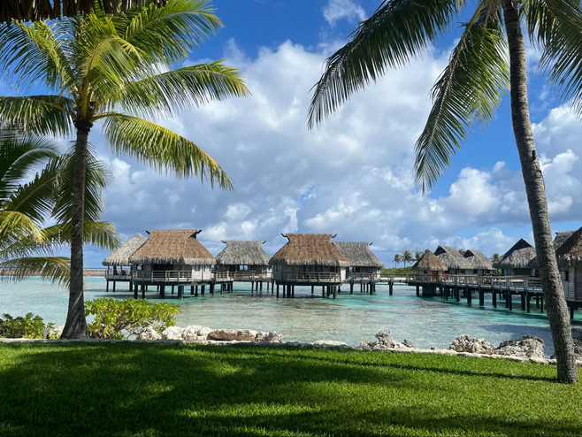 Palm trees shade posh over-water bungalows atop the clear waters off Tikehau, an atoll in French Polynesia.