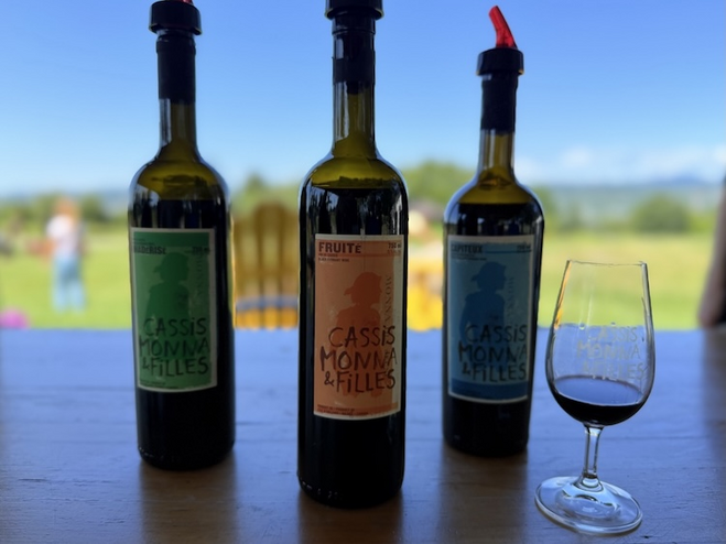 Cassis Monna & Filles blackcurrant wines with St. Lawrence River backdrop on Île d’Orléans, a perfect spot for couples to enjoy a romantic Quebec City wine experience.