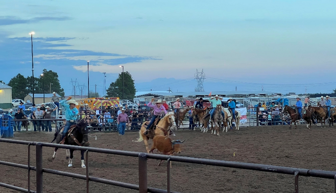 Hell on Wheels Rodeo Steer Roping