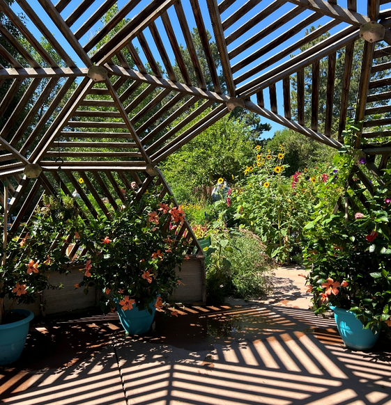 Cheyenne Botanic Gardens latticed dome