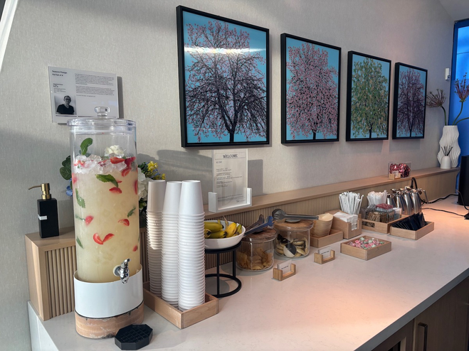 The Delta One check in area has fruit, cookies, coffee and flavored water, among other options