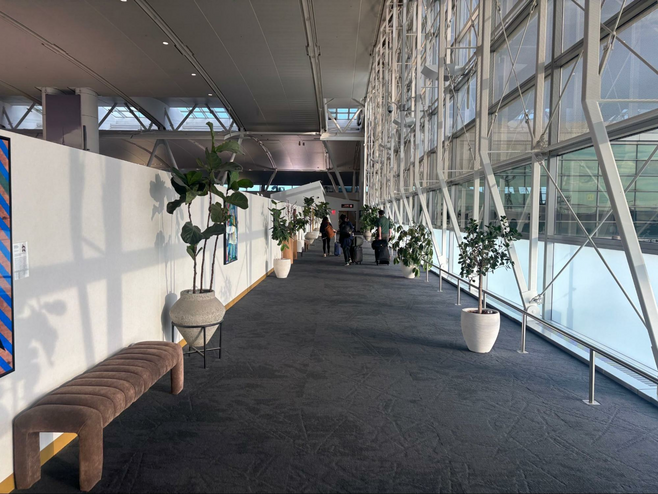 Carpeting, plants, and quiet greet you on the walk to the private check-in at Delta One in JFK