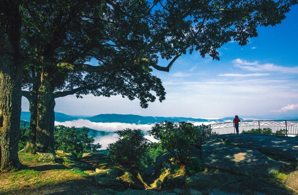 Jump Off Rock with old trees on the left and on the right, a rail overlooking the Blue Ridge Mountains where morning clouds hang in the distance.