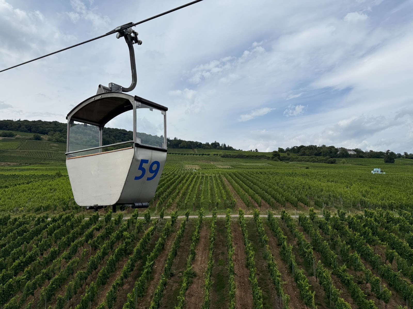 Rüdesheim gondola over vineyards