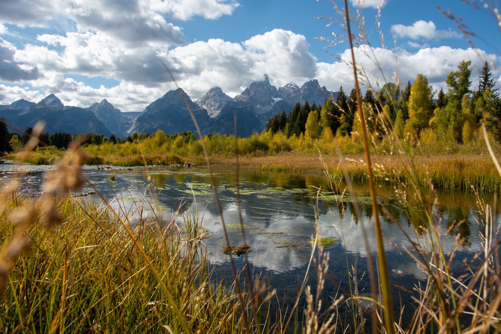 Fall colors on either side of the bank of a creek flowing through the valley