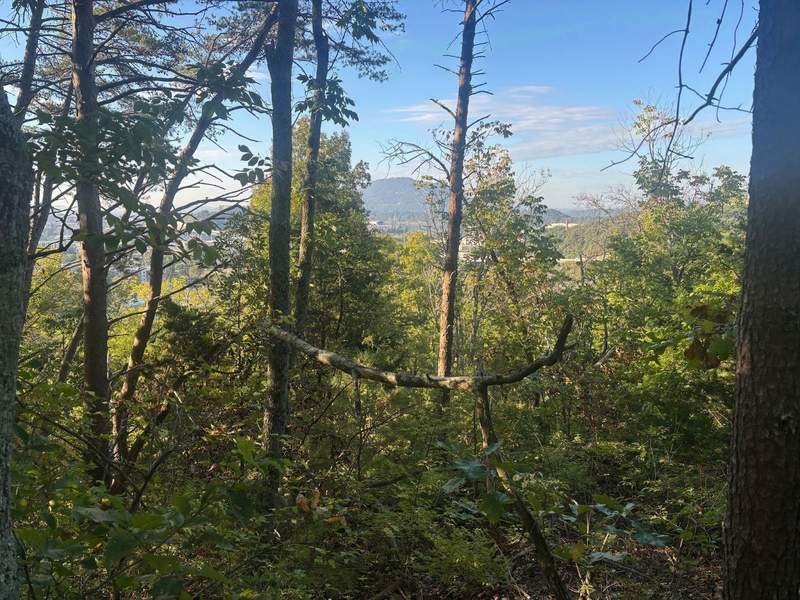 Urban forest for biking and biking in Chattanooga