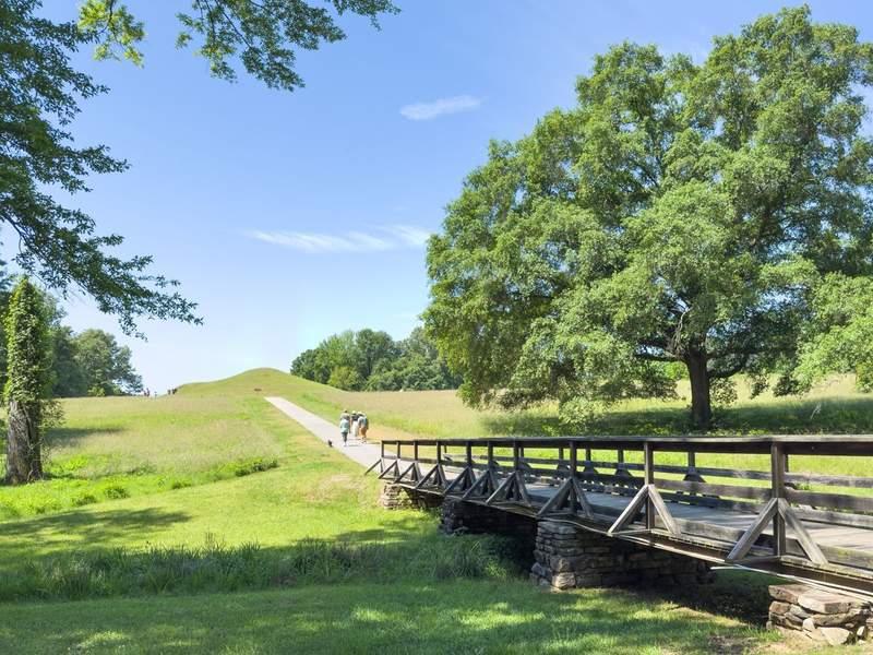 The Perfect Itinerary for Your Atlanta to Savannah Road Trip