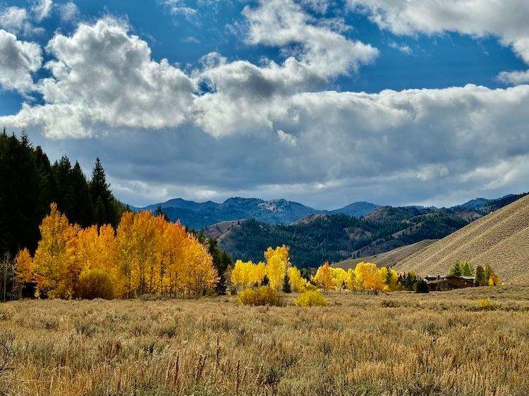 Landscape view of Idaho mountains under a dramatic cloudy sky, with a grove of golden-yellow aspens and a rustic homestead nestled in the valley.