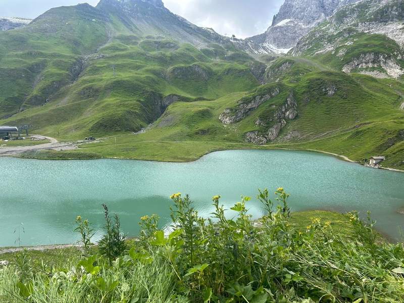 A view of a turquoise alpine lake in the Austrian Alps with wildflowers in the forefront and mountain peaks in the background.
