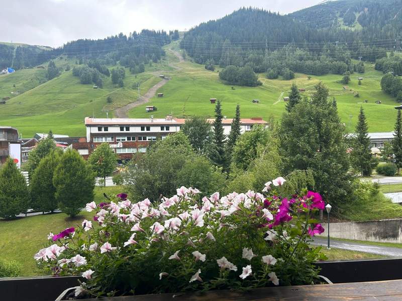 Flowers on the balcony of a room at the Hotel Alte Post with a view of the mountains in the background. 