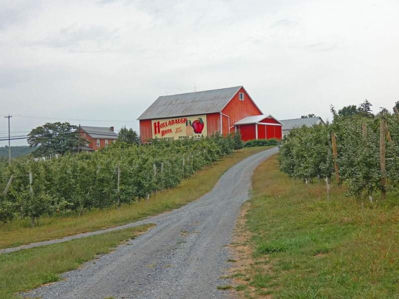 Red barn with apple orchard in front.